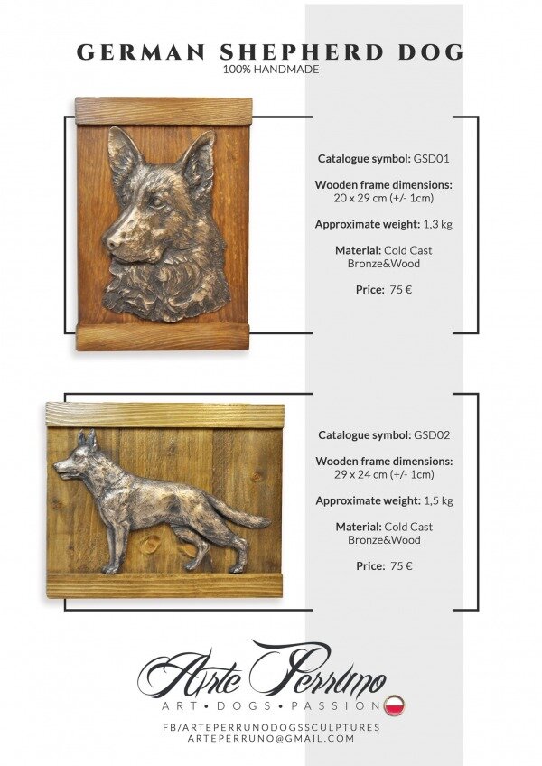 gallery/german shepherd 0102
